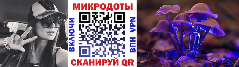 Псилоцибиновые грибы Psilocybe  МЕГА ONION  Усть-Лабинск 